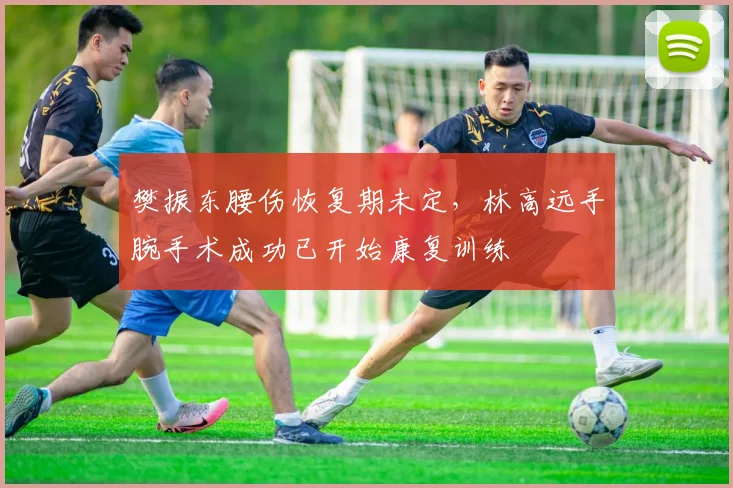 樊振东腰伤恢复期未定，林高远手腕手术成功已开始康复训练